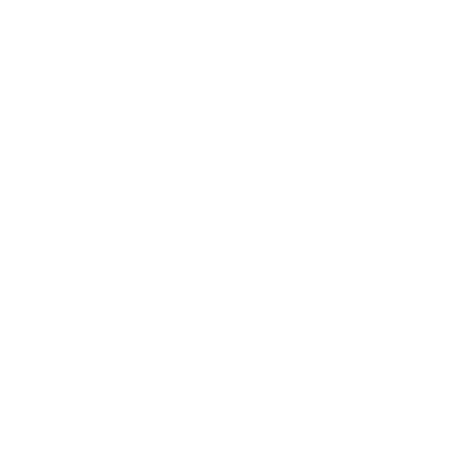 The Beach